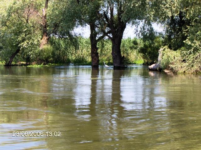 delta rosu 2006 - im000287.JPG